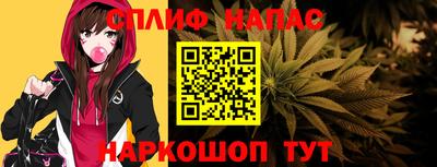 гидропоника Тверь