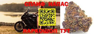 ПСИЛОЦИБИНОВЫЕ ГРИБЫ Татарск