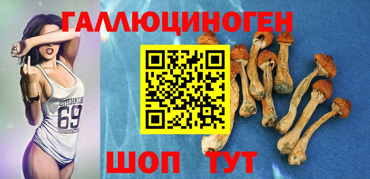 Галлюциногенные грибы мицелий  Вход с VPN  Павлово 